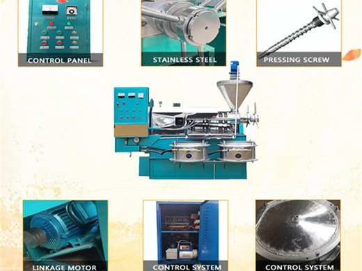 machine de traitement de l'huile de coton de haute qualité, graines de coton