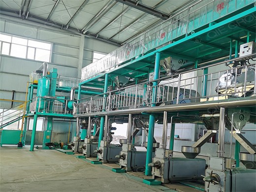 2023 prix de la machine d'extraction d'huile de palmiste de nouvelle conception au cameroun | ligne de production d'huile de palme