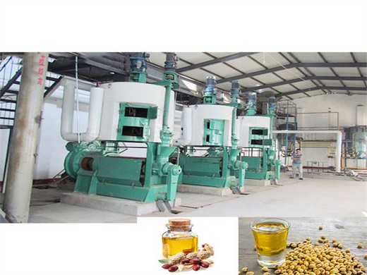 machines utilisées dans l'usine de moulin à huile de tournesol à grande échelle_vidéo de la machine d'extraction d'huile de tournesol