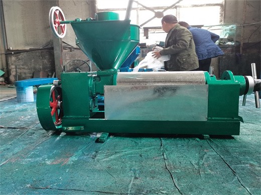 machine d'extraction de soja au niger - huile comestible