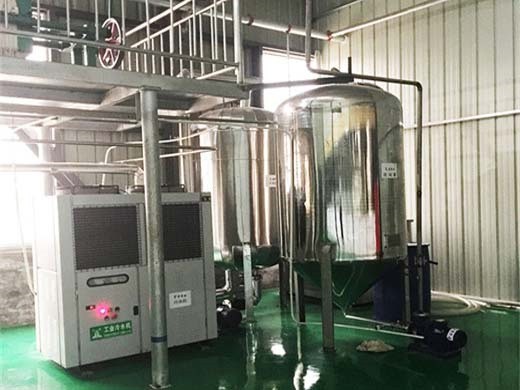 machine de traitement de l'huile de palme au burundi processus d'extraction de l'huile de palme usine de concassage de palmiste - acheter une petite raffinerie d'huile à économie d'énergie
